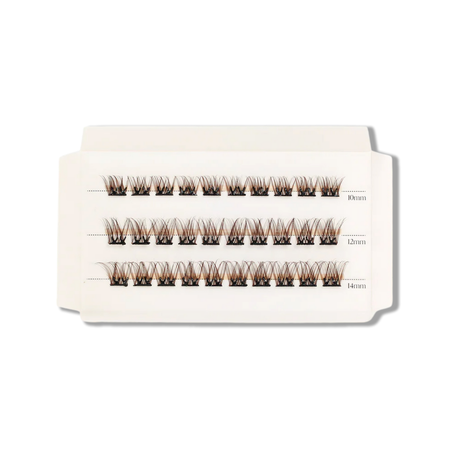 C & D Beauty - Hazel Press & Go Refill