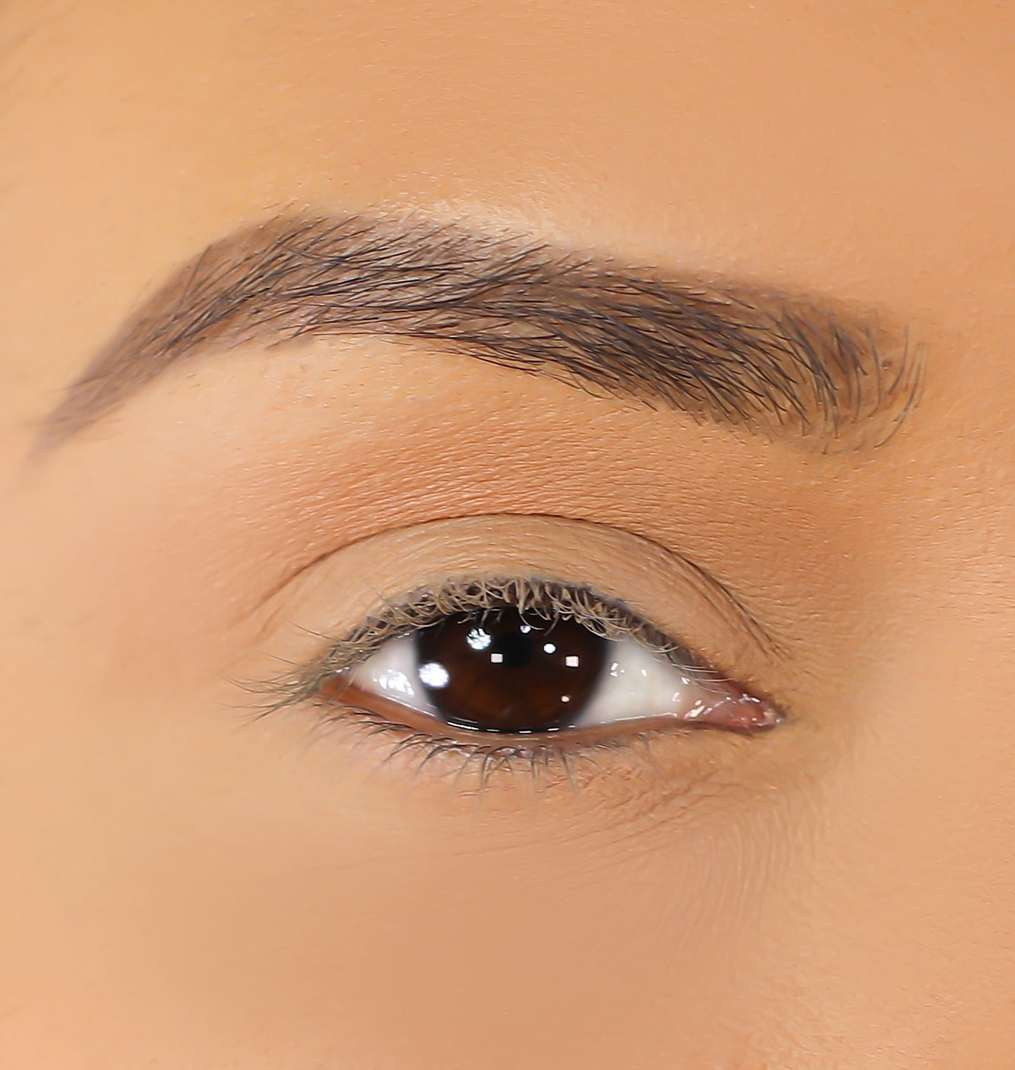 Lurella Cosmetics - 3D Mink Eyelashes - Emma