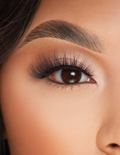 Siren Stun False Lashes