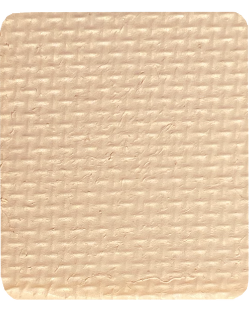 Gavissi Beauty - "VANILLA" SINGLE LINER PAN (MATTE)